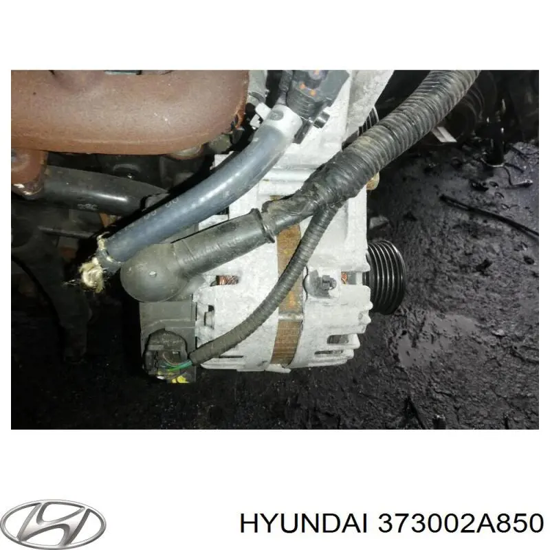 Do koszyka 373002A850 Hyundai/Kia Alternator