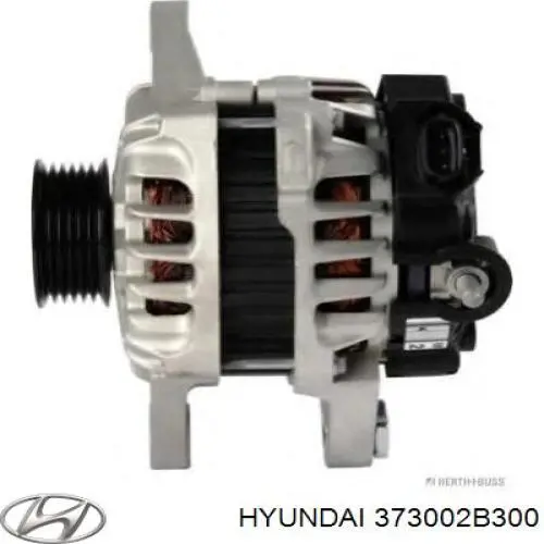 Do koszyka 373002B300 Hyundai/Kia Alternator