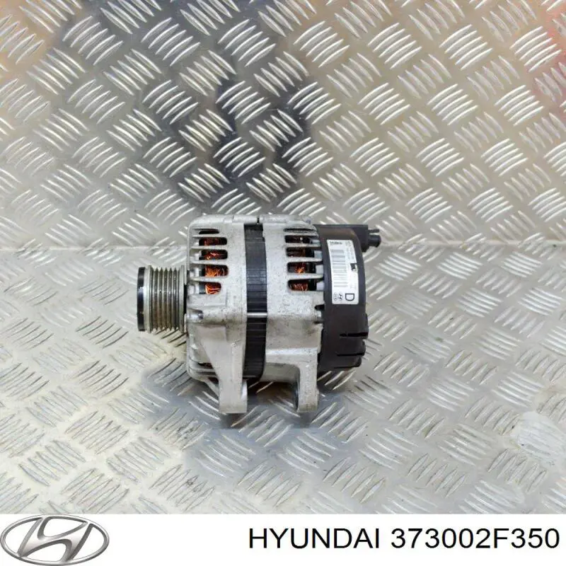 Do koszyka 373002F350 Hyundai/Kia Alternator