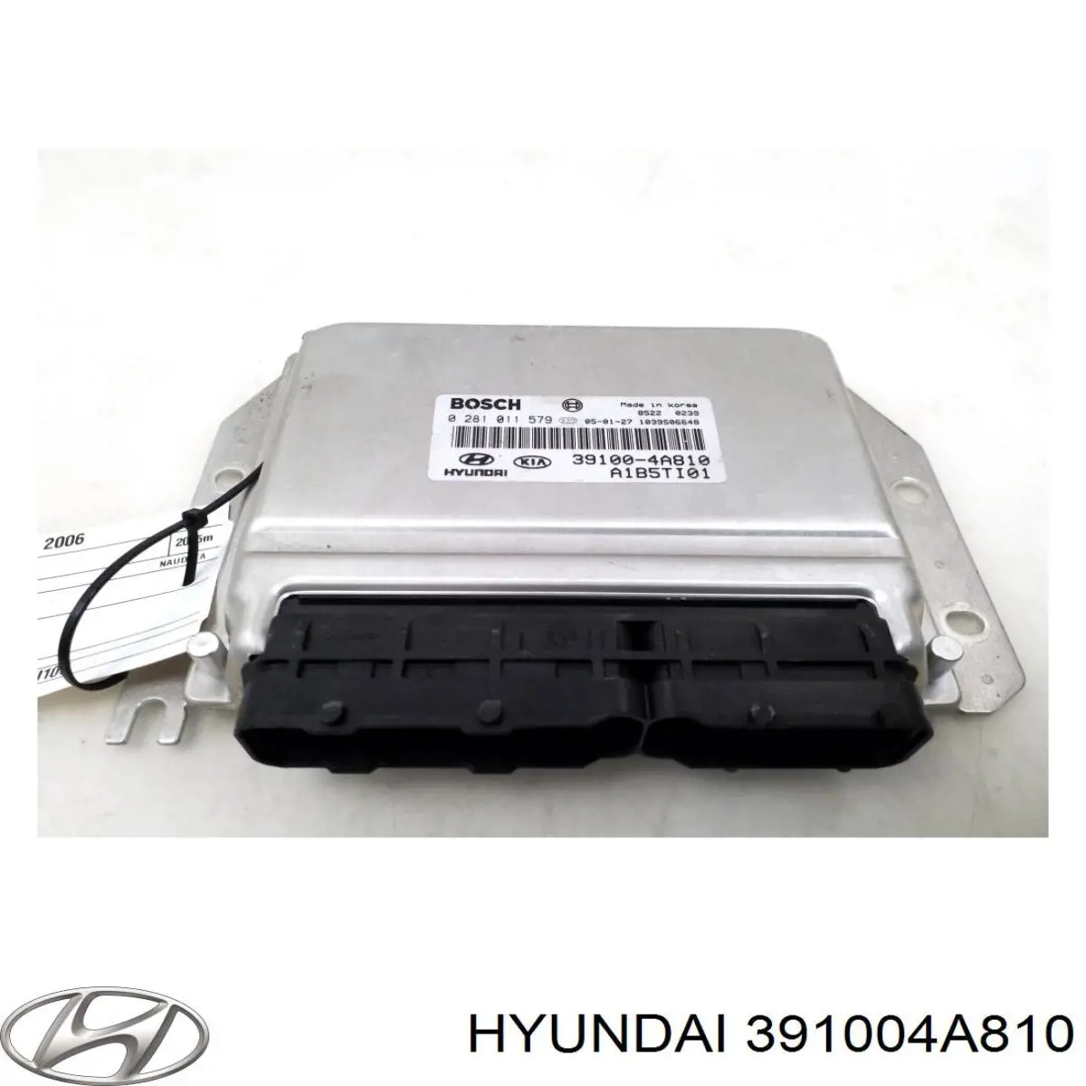 391004A810 Hyundai/Kia Sterownik silnika