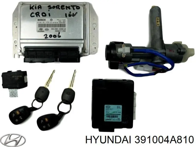 Do koszyka 391004A810 Hyundai/Kia Sterownik silnika