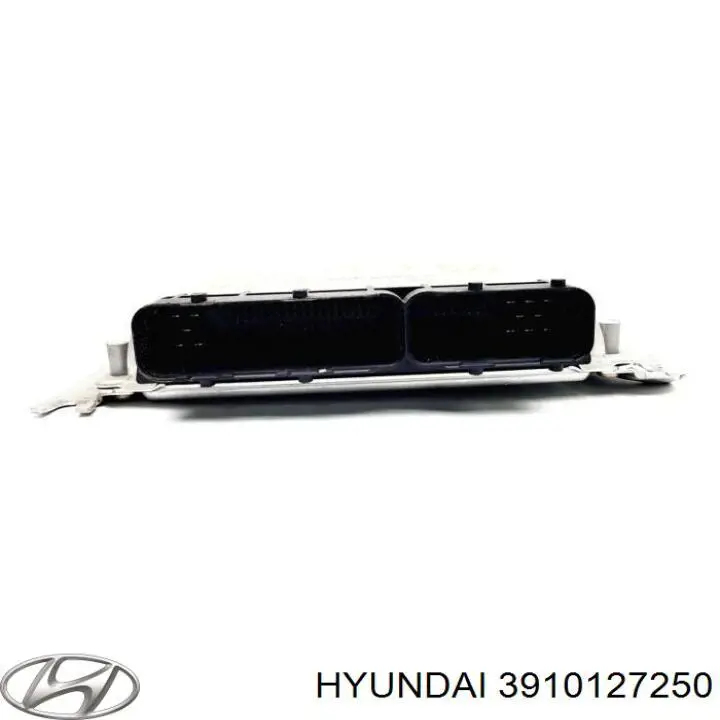 Sterownik silnika Hyundai Santa Fe I SUV (SM) (2000 - 2006) cena, od 208,57 USD