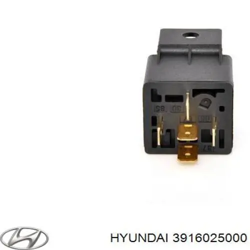 3916025000 Hyundai/Kia Elektryczne przekaźnik wielofunkcyjne