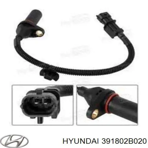 391802B020 Hyundai/Kia Czujnik położenia wału korbowego
