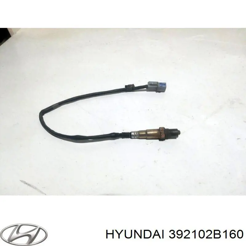 Sonda lambda, czujnik tlenu Hyundai/Kia 392102B160 cena, od 89,36 USD