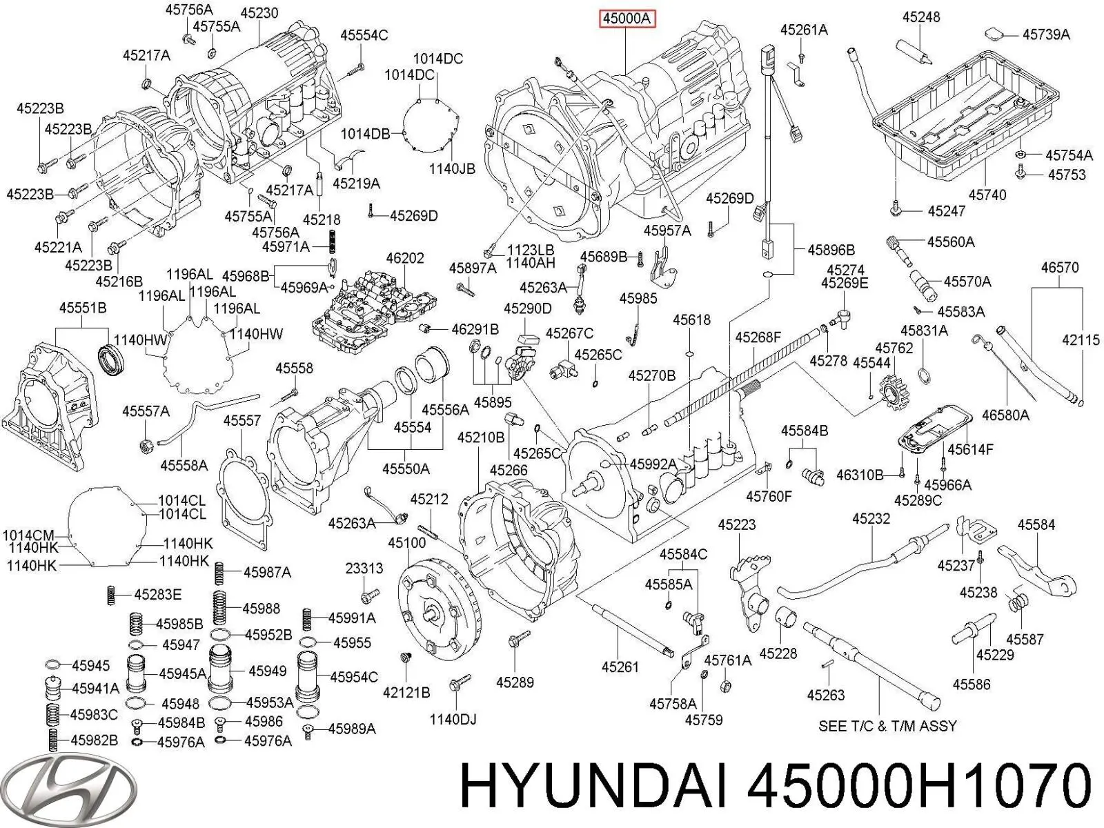 Automatyczna skrzynia biegów, kompletna Hyundai Terracan SUV (HP) (2001 - 2006) cena, od  