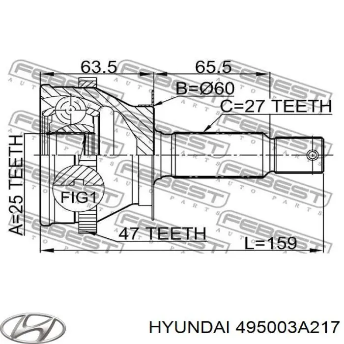 Do koszyka 495003A217 Hyundai/Kia Przegub homokinetyczny przedni zewnętrzny