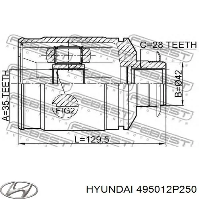 Hyundai/Kia 495012P250
