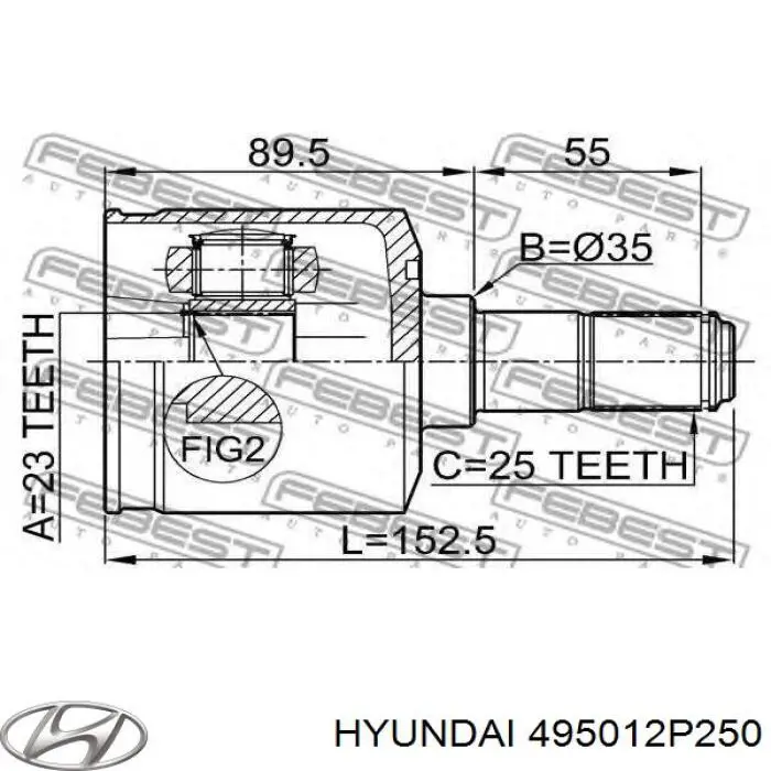 Do koszyka 495012P250 Hyundai/Kia Półoś napędowa przednia prawa