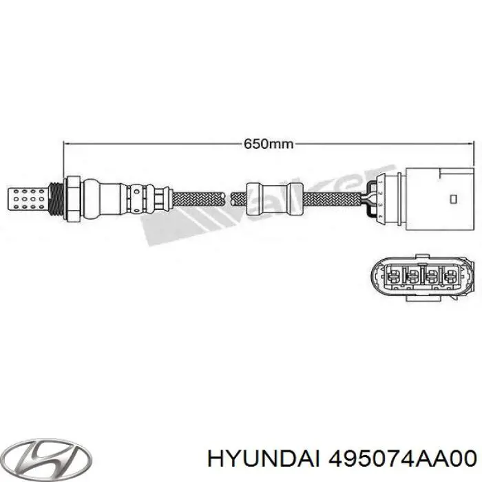 Do koszyka Przegub homokinetyczny przedni zewnętrzny Hyundai H-1 STAREX Starex 