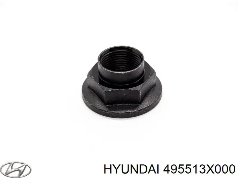 495513X000 Hyundai/Kia Nakrętka piasty przedniej