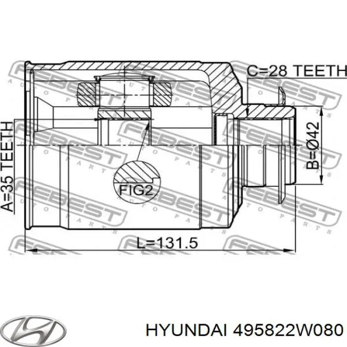 495822W080 Hyundai/Kia Przegub homokinetyczny wewnętrzny przedni prawy