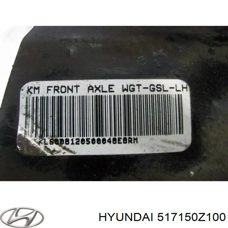 Czop (zwrotnica) przedni lewy Hyundai/Kia 517150Z100 cena, od 85,13 USD