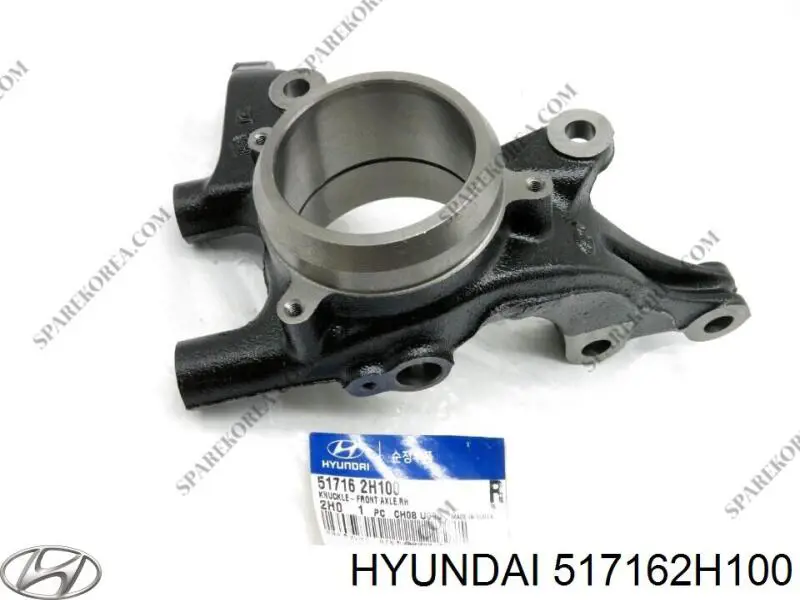 Czop (zwrotnica) przedni prawy Hyundai/Kia 517162H100 cena, od 102,15 USD