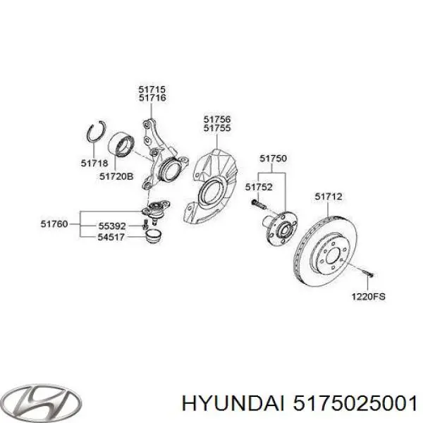 Do koszyka 5175025001 Hyundai/Kia Piasta przednia