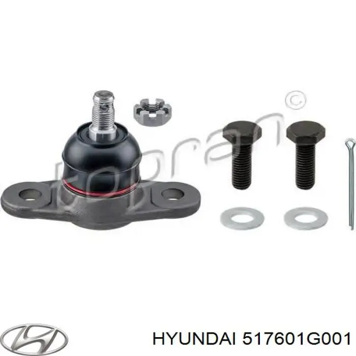 Sworzeń wahacza dolny Hyundai/Kia 517601G001 cena, od 23,83 USD