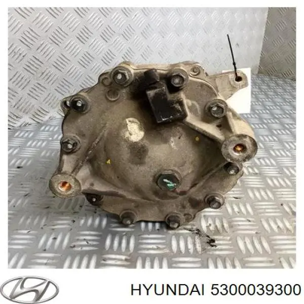 5300039300 Hyundai/Kia Reduktor mostu tylnego