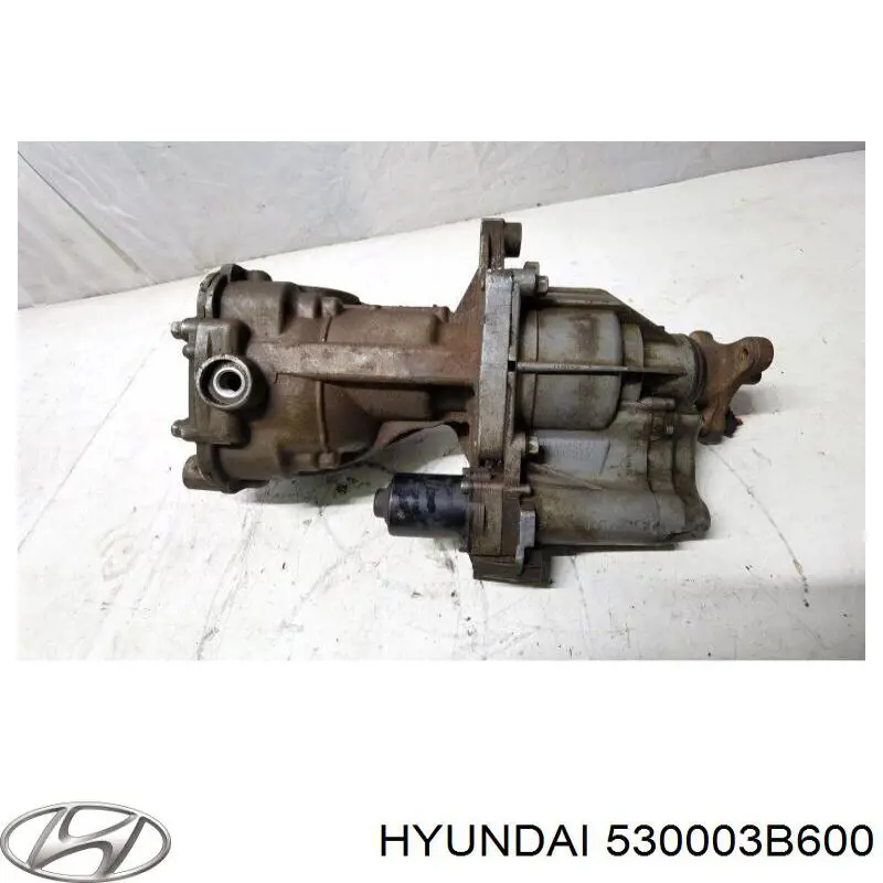 Reduktor mostu tylnego Hyundai Tucson II SUV (TM) (2010 - 2015) cena, od 3589,50 USD