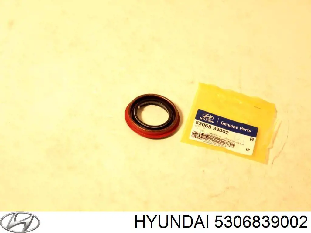 5306839002 Hyundai/Kia Uszczelniacz reduktora mostu tylnego