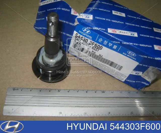 Do koszyka 544303F600 Hyundai/Kia Sworzeń wahacza górny
