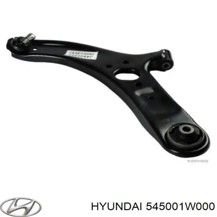 Wahacz zawieszenia przedniego dolny lewy Hyundai/Kia 545001W000 cena, od 109,08 USD