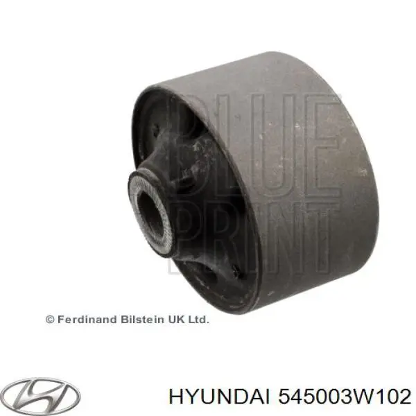 Wahacz zawieszenia przedniego dolny lewy Hyundai/Kia 545003W102 cena, od 72,90 USD