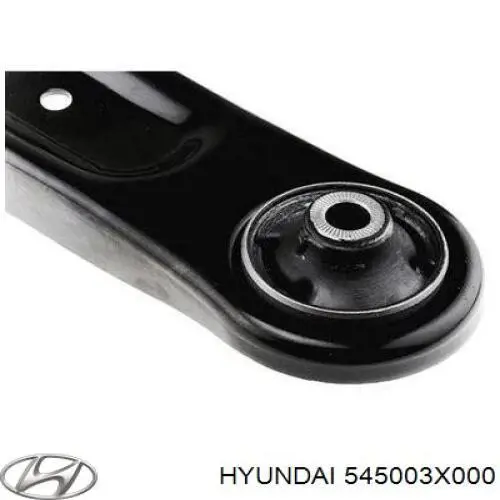 Wahacz zawieszenia przedniego dolny lewy Hyundai/Kia 545003X000 cena, od 73,77 USD