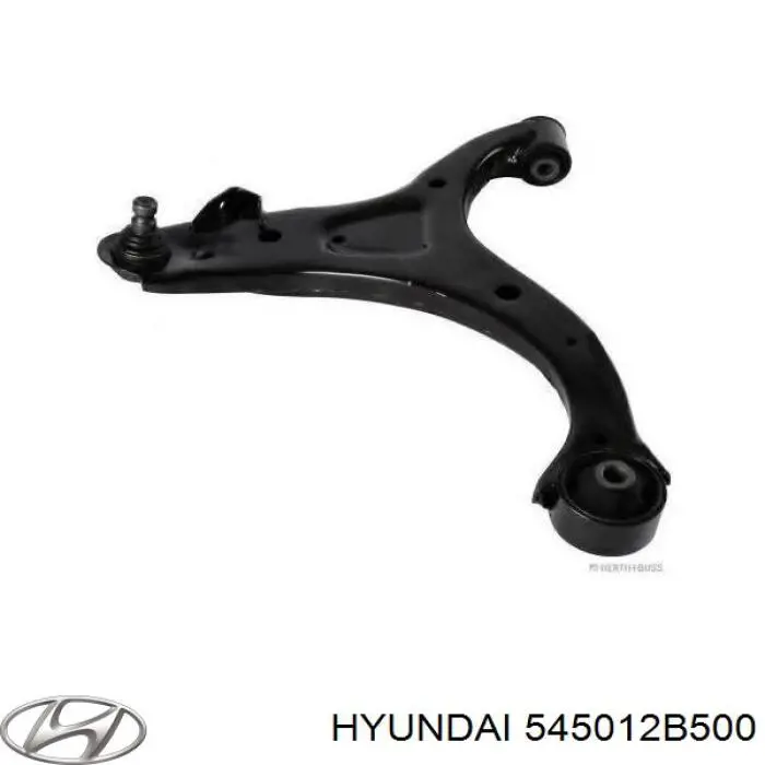 Wahacz zawieszenia przedniego dolny prawy Hyundai/Kia 545012B500 cena, od 84,59 USD