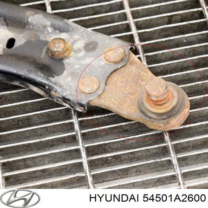Do koszyka 54501A2600 Hyundai/Kia Wahacz zawieszenia przedniego dolny prawy
