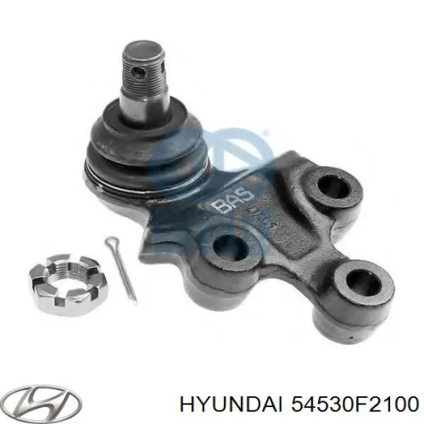 54530F2100 Hyundai/Kia sworzeń wahacza dolny prawy