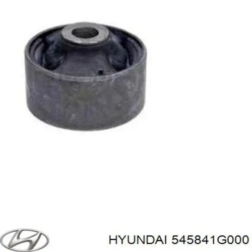 Do koszyka 545841G000 Hyundai/Kia Silentblock przedniego wahacza dolnego
