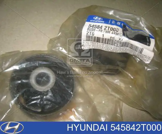Do koszyka 545842T000 Hyundai/Kia Silentblock przedniego wahacza dolnego