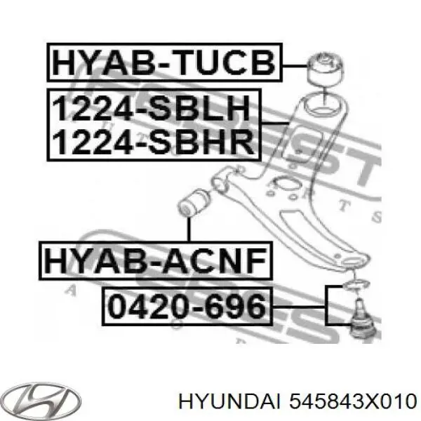 Do koszyka 545843X010 Hyundai/Kia 