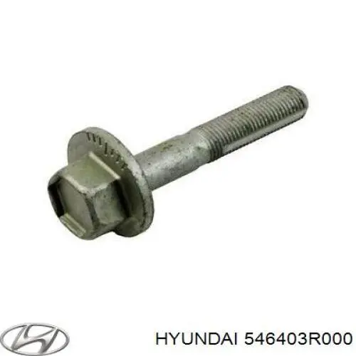 Śruba regulacji tylnego wahacza (dla zbieżności), wewnętrzny Hyundai/Kia 546403R000 cena, od 14,79 USD