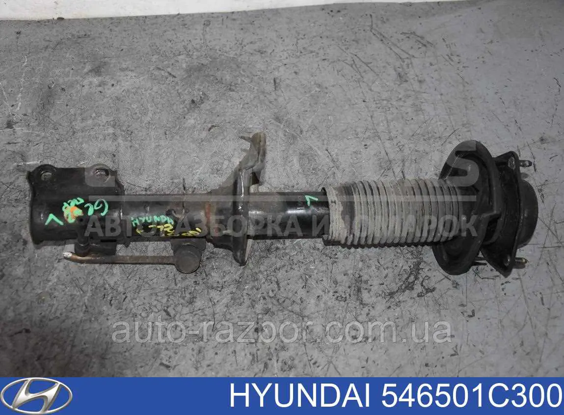 Do koszyka 546501C300 Hyundai/Kia Amortyzator przedni lewy