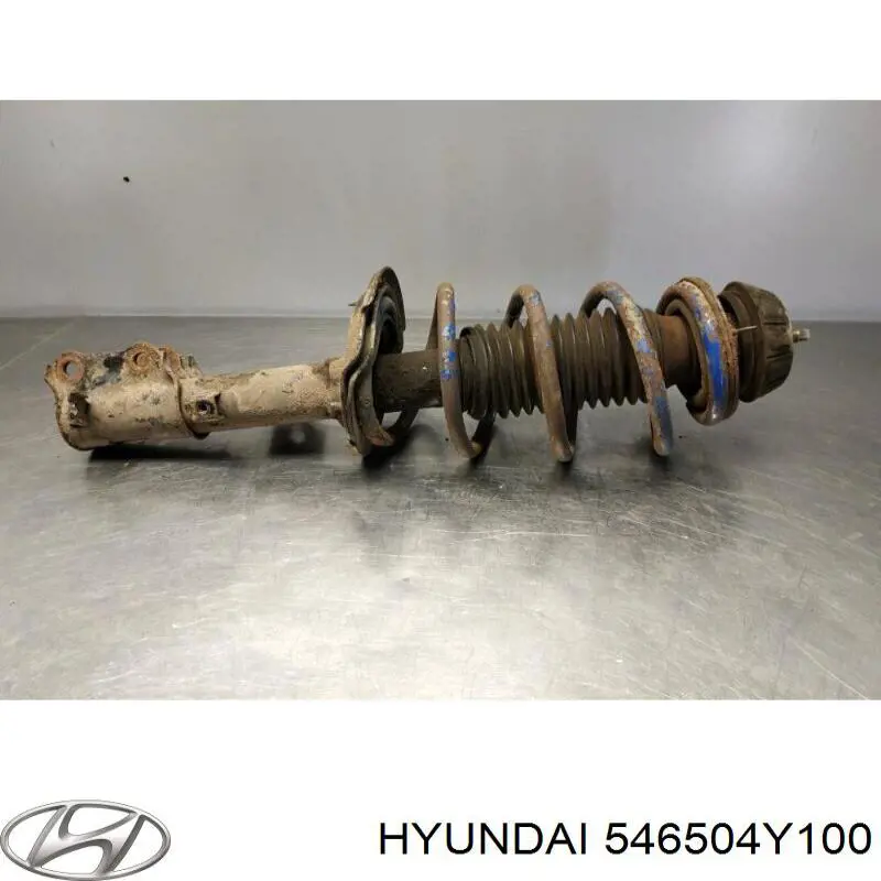 Do koszyka 546504Y100 Hyundai/Kia Amortyzator przedni lewy