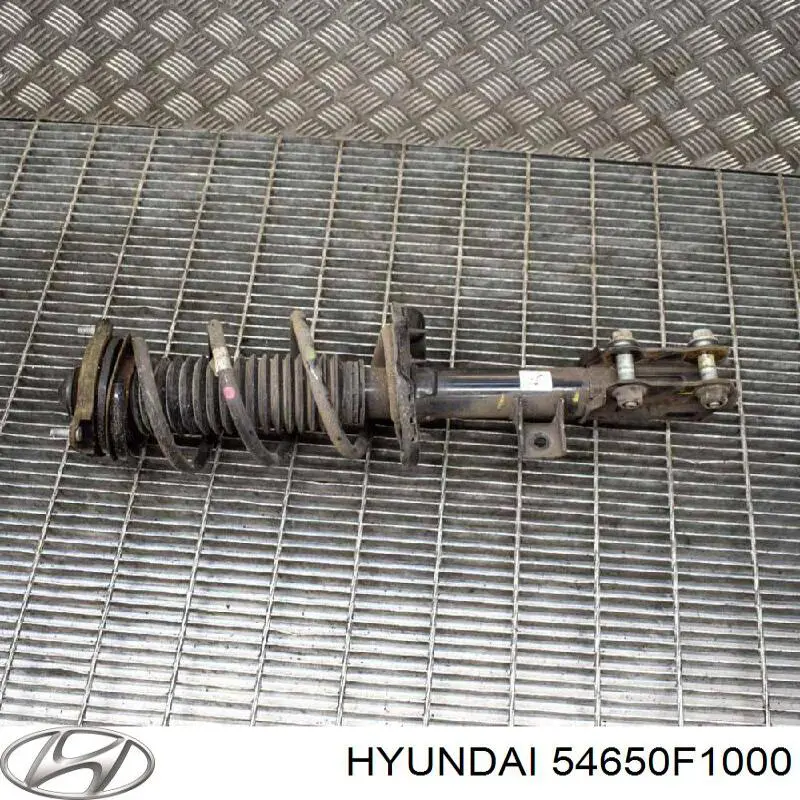Amortyzator przedni lewy Hyundai/Kia 54650F1000 cena, od 112,59 USD