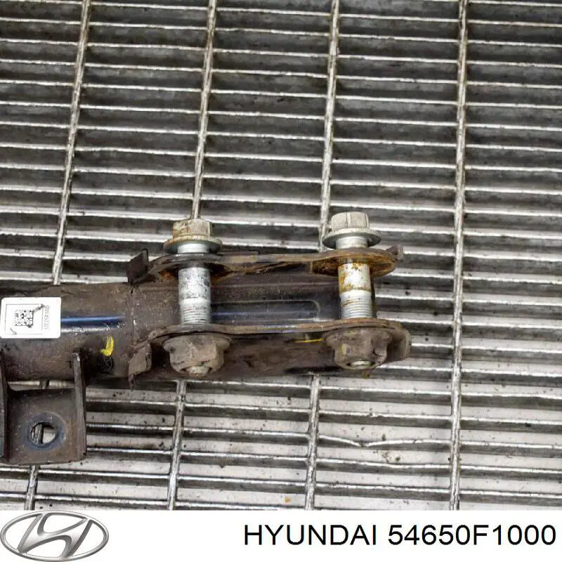 Do koszyka 54650F1000 Hyundai/Kia Amortyzator przedni lewy