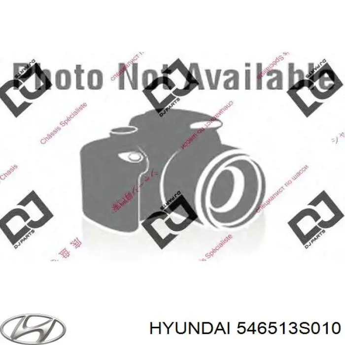 Amortyzator przedni lewy Hyundai/Kia 546513S010