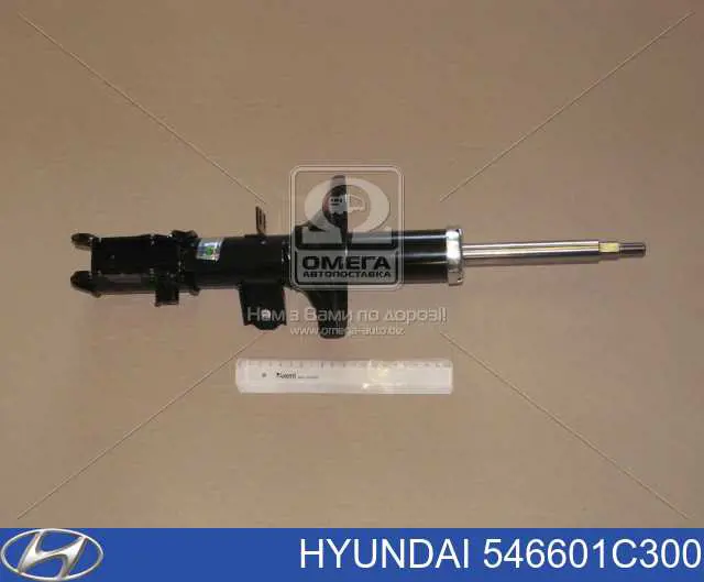 Amortyzator przedni prawy Hyundai/Kia 546601C300 cena, od 54,83 USD