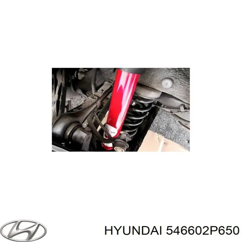 Amortyzator przedni prawy Hyundai/Kia 546602P650 cena, od 91,33 USD