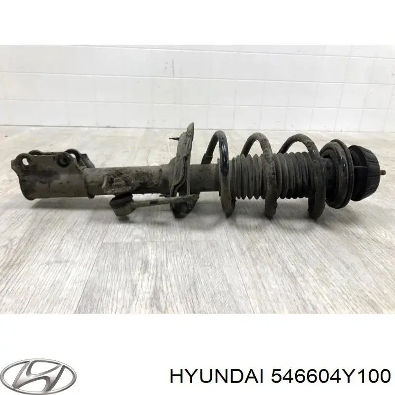 Amortyzator przedni prawy Hyundai/Kia 546604Y100 cena, od 56,69 USD