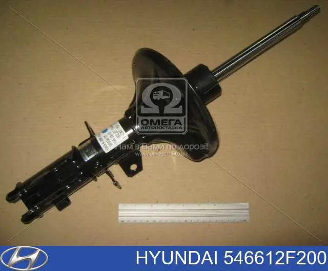 Do koszyka 546612F200 Hyundai/Kia Amortyzator przedni prawy