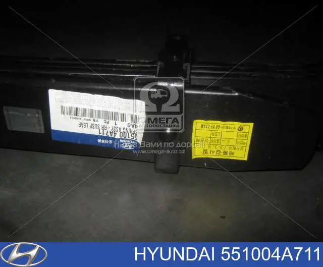 551004A711 Hyundai/Kia Resor tylny