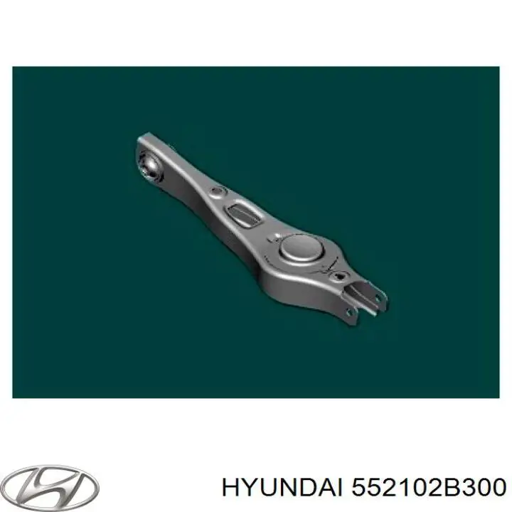 Wahacz zawieszenia tylnego dolny lewy/prawy Hyundai/Kia 552102B200 cena, od 112,37 USD