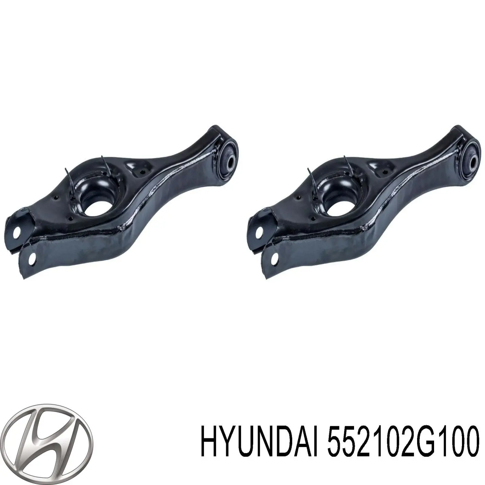 Do koszyka 552102G100 Hyundai/Kia Wahacz zawieszenia tylnego dolny lewy/prawy
