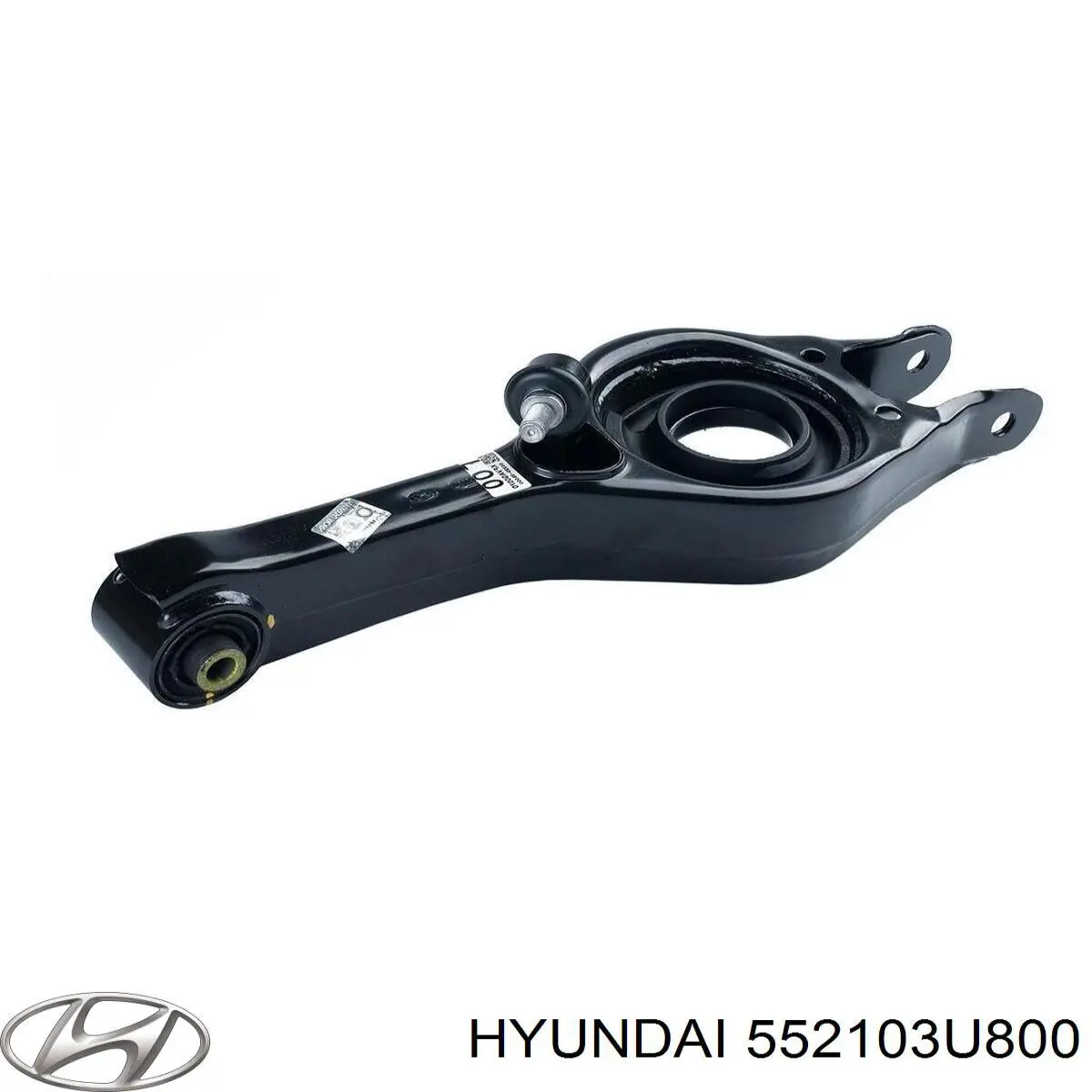552103U800 Hyundai/Kia Podkładka śruby mocowania tylnego wahacza dolnego, wewnętrzna