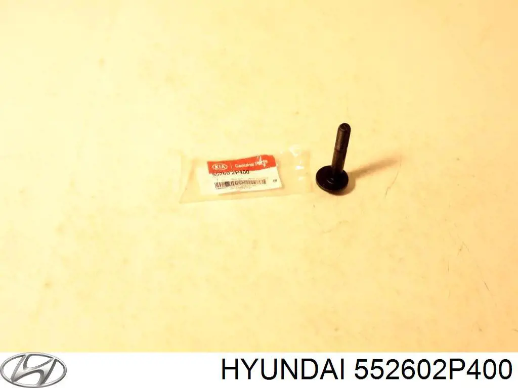 552602P400 Hyundai/Kia Śruba regulacji tylnego wahacza (dla zbieżności), wewnętrzny