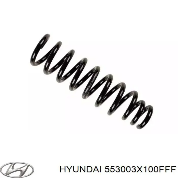 Do koszyka 553003X100FFF Hyundai/Kia Amortyzator tylny