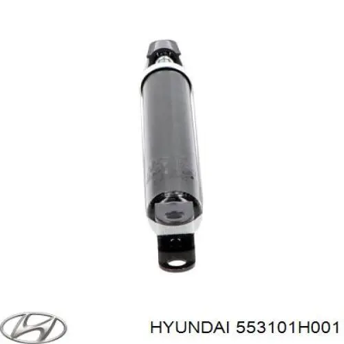Amortyzator tylny Hyundai/Kia 553101H001 cena, od 32,88 USD